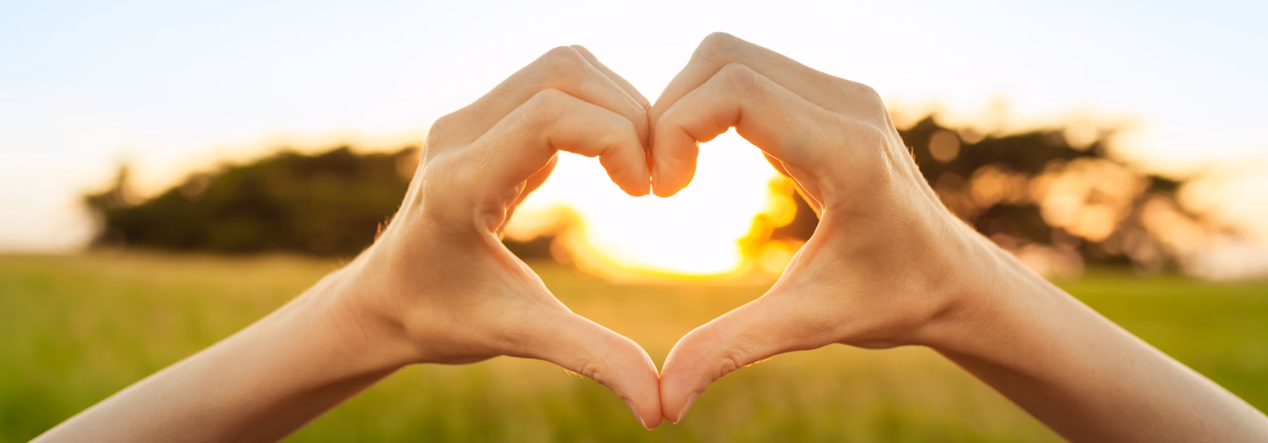 cta-hand-heart_2560-001